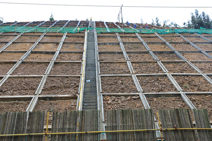 1578291396128411.jpg D00A5049_副本.jpg