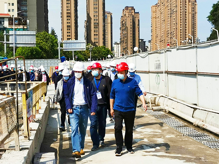 图形11.jpg