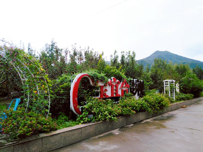 1600310462118561.jpg 8E2457299B757AC0ACBD966AAE7F18B4_副本.jpg