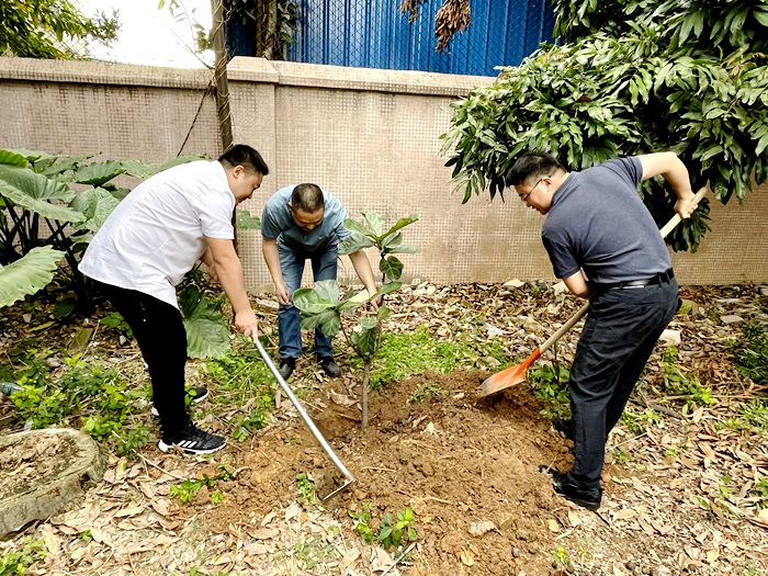 植树现场_副本.jpg