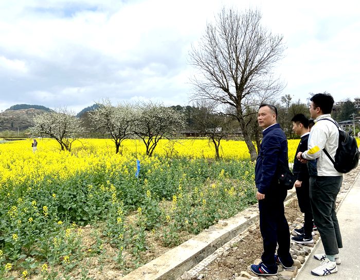 1647940587128264.jpg 图:春日踏青_副本.jpg