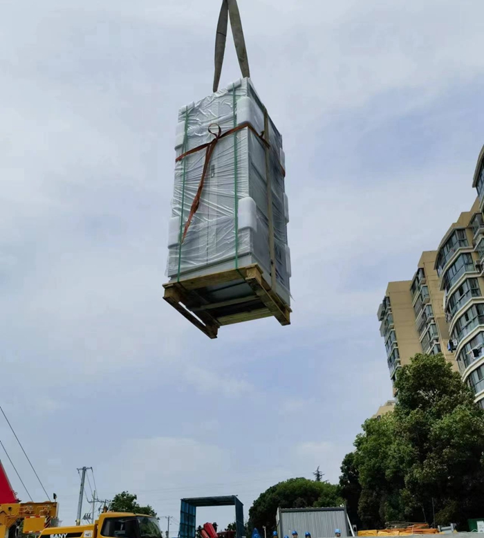 1686624558312023.jpg 2.jpg